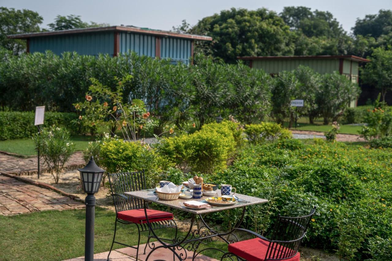 Tree Of Life Ecotainers Agra Hotel Agra  Luaran gambar