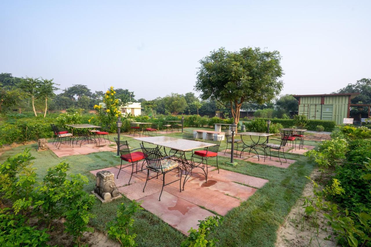 Tree Of Life Ecotainers Agra Hotel Agra  Luaran gambar