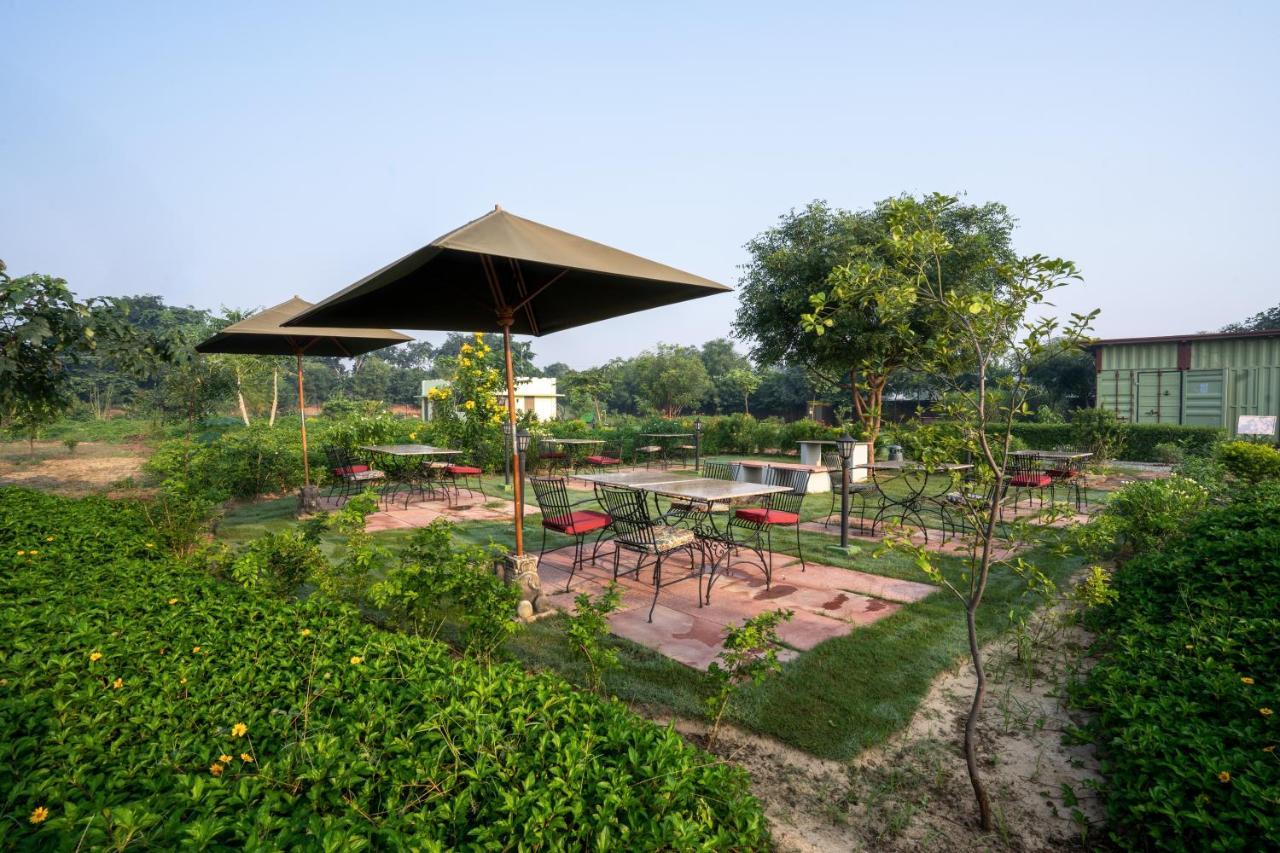 Tree Of Life Ecotainers Agra Hotel Agra  Luaran gambar